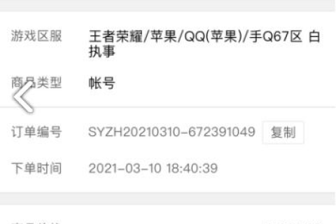 利用免费空间与NS域名解析，打造无IP地址网站的实战指南