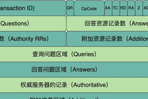 DNS查询请求时，这个查询请求报文就发送给以下哪项域名服务器