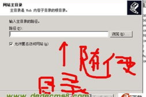 如何建立一个二级域名博客，从选择域名到优化SEO的全方位指南