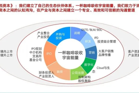 优值互联，打造未来商业价值的桥梁