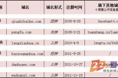 CN域名，拼音与中文的优劣比较