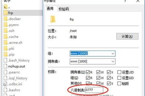 阿里云主机配置指南，打造高效网站托管环境