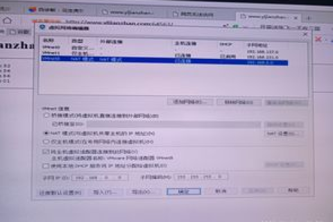 为什么用IP能上网用域名不行