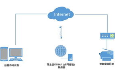 域名访问问题，高手来解析与解决策略