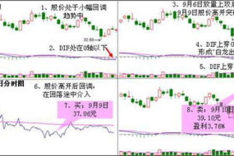 顶极域名（TLD）与国际域名（IDN）的区别，深度解析