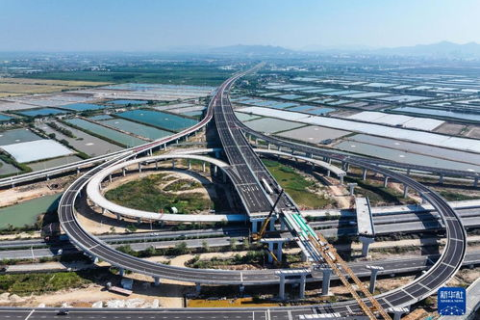 中国诚网，构建数字化时代的诚信桥梁