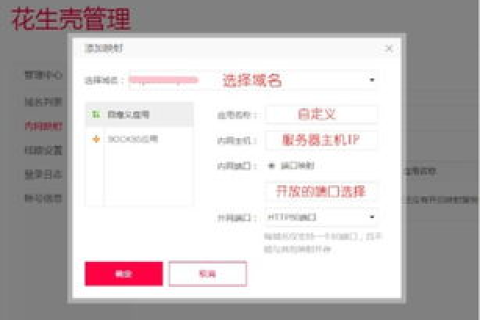 花生壳域名指向正确路由器做了端口映射，为什么浏览器输入域名无法访问？
