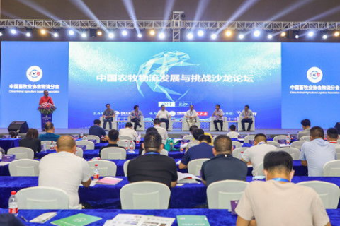 东北数据中心，科技赋能下的东北振兴新篇章