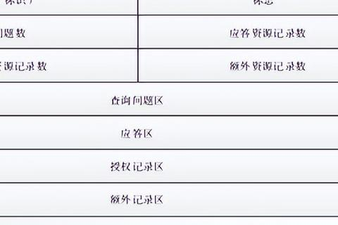 域名注册信息查询，深度解析与实用指南