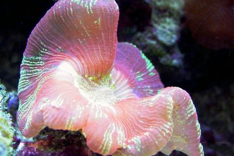 蓝色互联，重塑数字时代的海洋经济版图