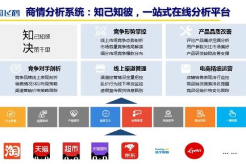 苏网互联，重塑区域经济版图，引领数字化转型新篇章
