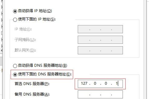 用DNS解析实现分子域名