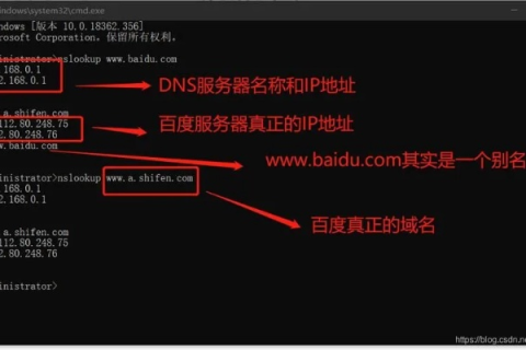 如何通过域名解析得到IP地址，深度解析与实战指南