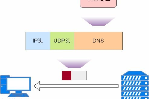 DNS服务，解析域名与IP地址的桥梁