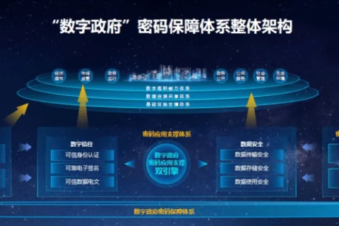 域名、密码、网站管理与权限问题，构建安全的数字世界基石