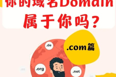 什么是域名的高价赎回期