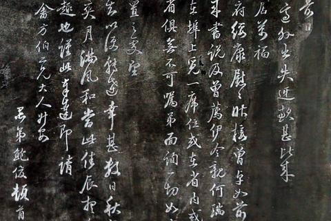 世纪网络，重塑未来生活的数字脉络