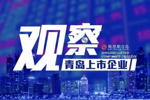 百新网络，引领数字时代的创新浪潮与未来愿景