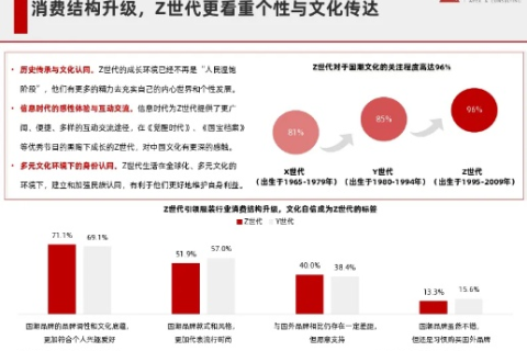 华夏网络—重塑信息时代下的文化疆域与人文关怀