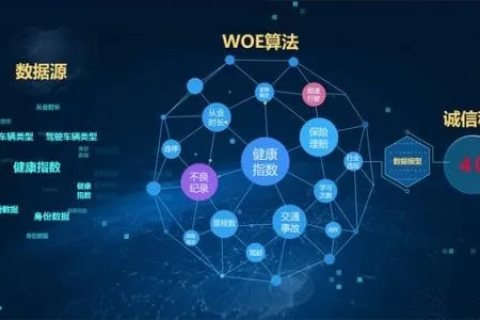双剑数据的奥秘，探索现代数据科学的关键驱动力