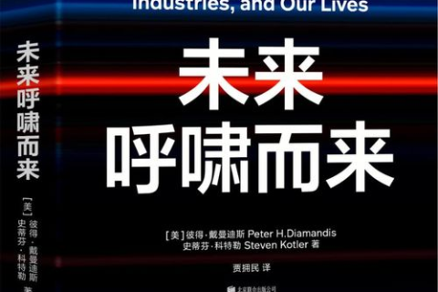 美国安网，重塑网络安全的未来愿景与现实挑战