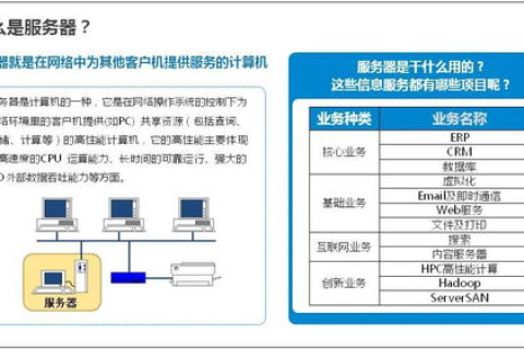 构建高效DNS服务器，解析网络中的域名与计算机通信