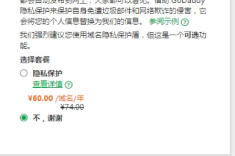 探索Godaddy域名抢注，实战经验与工具评测