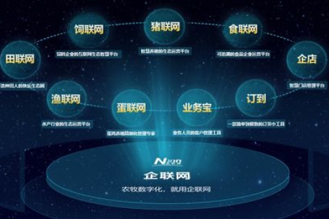 睿动互联，重塑数字时代的企业智慧引擎