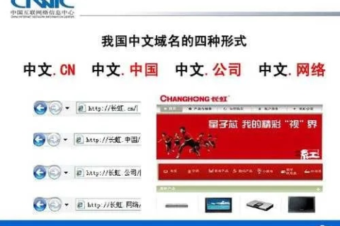 探索中文域名在网站建设中的独特优势与实用价值