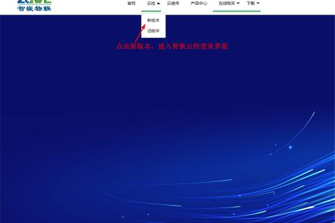 虚拟主机与云服务器的区别，深度解析
