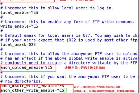 域名解析与FTP上传，打造个人网站的初步指南