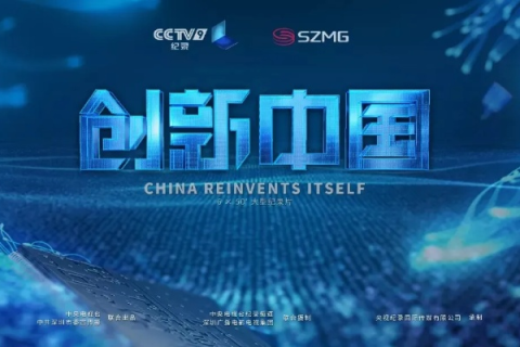 探索中域频道，揭秘背后的创新与成长