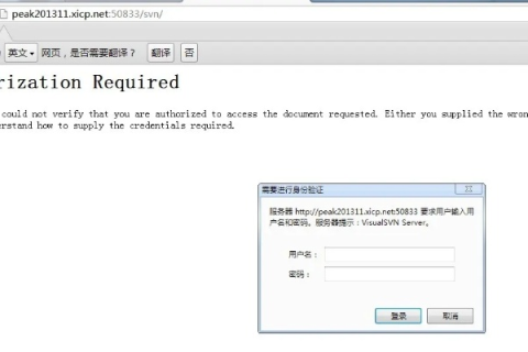 如何使用花生壳域名解析，从入门到精通的详细指南