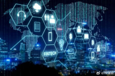 搜索网络世界，解锁信息时代的无限可能