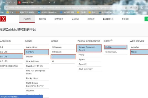 域名绑定更换全解析，从基础到进阶的详细步骤与注意事项