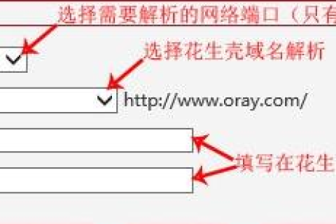 域名解析，在何处进行解析？