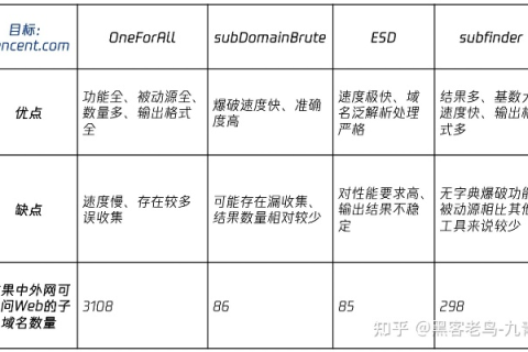 如何全面查看一个域名的所有二级域名，深度解析与实战指南