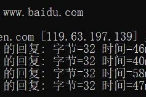 网站域名可以包含哪些字符，全面解析与实战指南