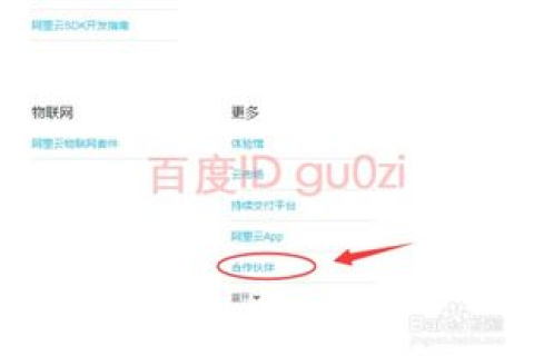 万网二级域名限制详解，影响、规避策略及未来展望