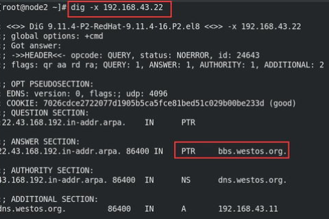域名服务DNS，解析与查询主机MAC地址的奥秘
