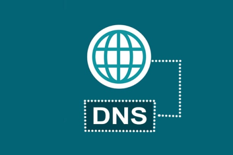 如果注册了DNS服务器，还要不要去别的地方注册网站域名？