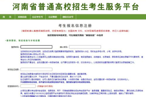 TK域名注册全攻略，从入门到精通