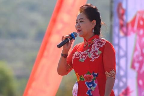 西部数据中心，科技引擎引领的绿色丝绸之路