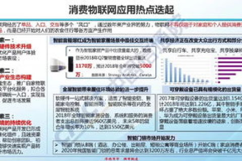 数字化浪潮下的中国信息港，构建智慧社会的基石