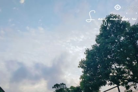 七朵云的奇幻之旅，探寻天空中的秘密花园