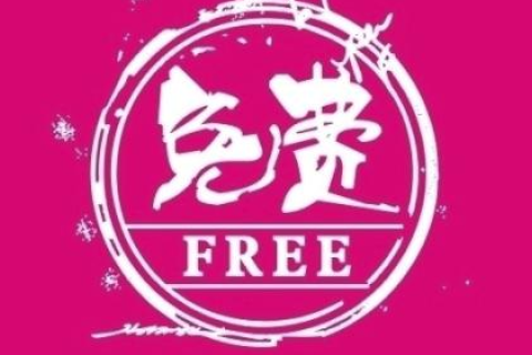 域名注册与建站流程详解，从注册到网站上线，你需知道的那些事
