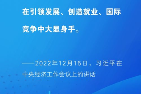 论红网互联在数字化时代的战略意义与未来发展