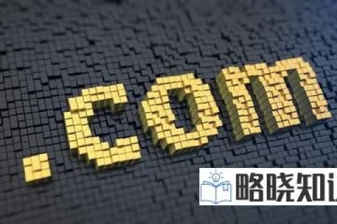 网络域名的奥秘，为何大部分以.com结尾