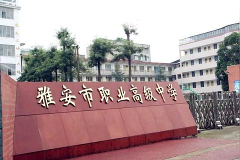 金榜网络，重塑教育生态，引领未来学习新风尚