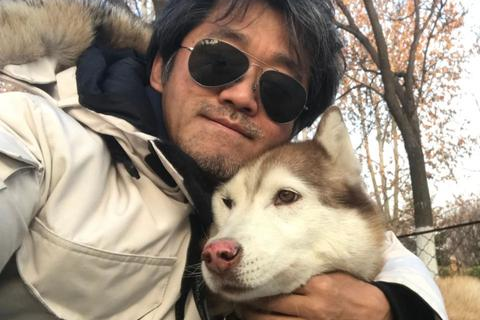 雪狼数据，揭秘数字时代的隐秘王者